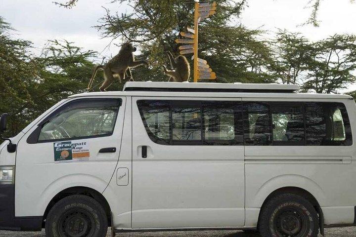 2 day Tour to Hell's Gate Naivasha and Crescent Island