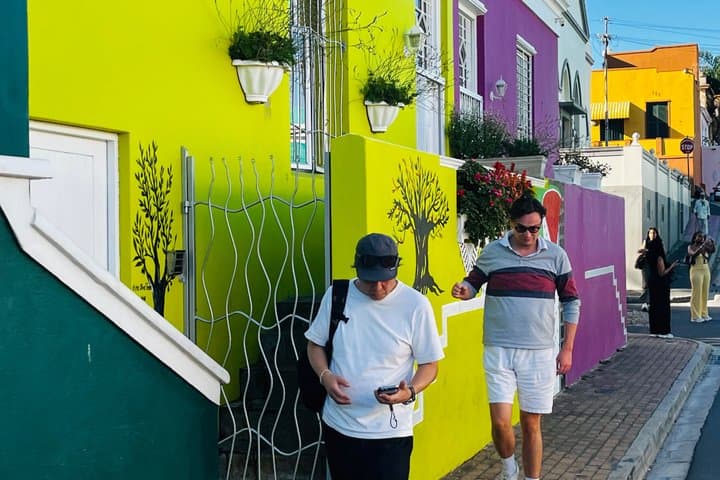 Table Mountain Cape Point Penguin Groot Constantia Private Tour