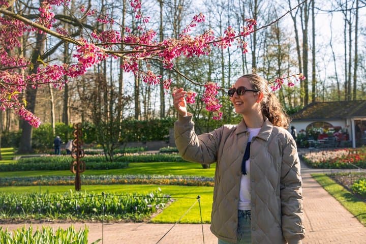 From Amsterdam: Keukenhof Ticket, Transfer & Live Guide Option