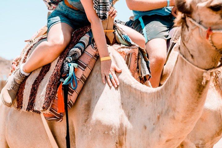 Sharm El Sheikh ATV Quad Bike Safari & Camel Ride – No Hidden Fee