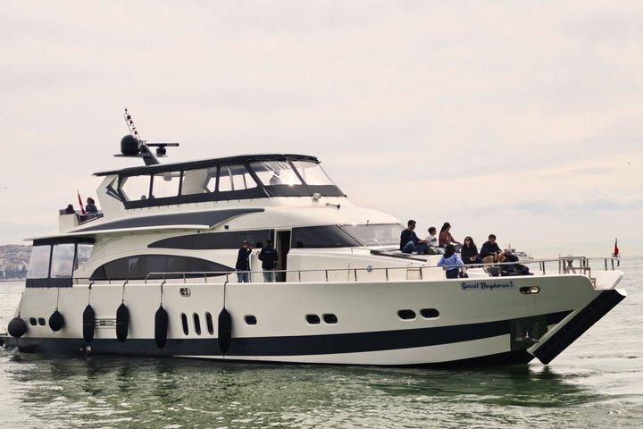 Bosphorus Cruise on Luxury Yacht with Guide & Asian Side Stop