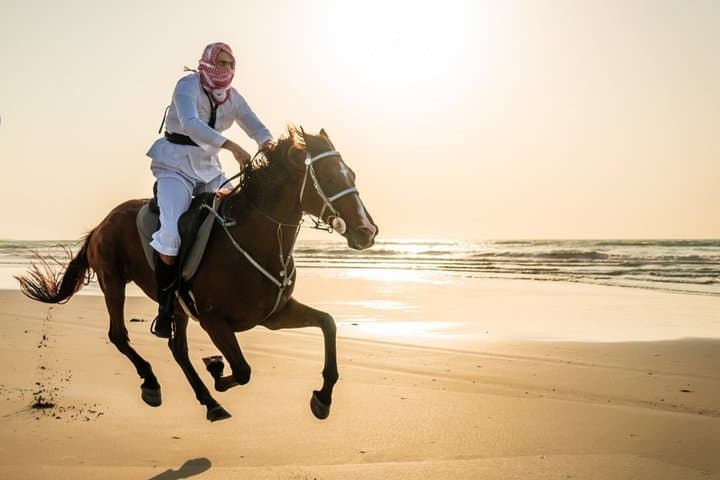 Beach Horse Riding Dubai with Transfers