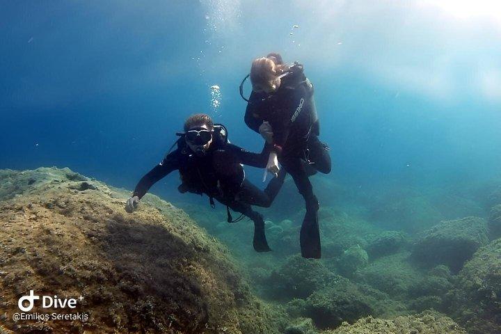 Padi Discover Scuba Diving