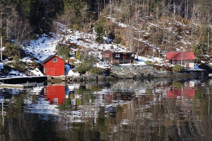 Bergen Fjord Cruise to Mostraumen Guided City Walk