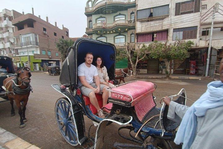 Private Day Tour Edfu and Kom Ombo Temples From Luxor