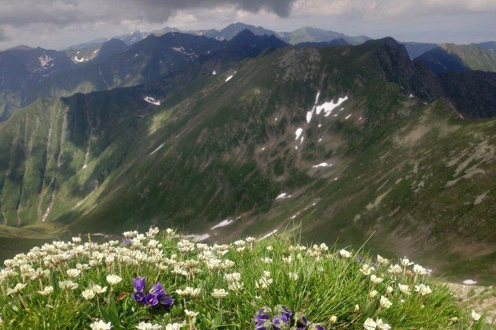 Day Hike in Carpathian Mountains for all levels in five areas