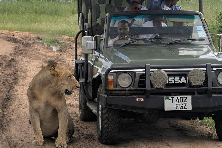 Day Trip To Mikumi National Park From Dar es salaam by Sgr train
