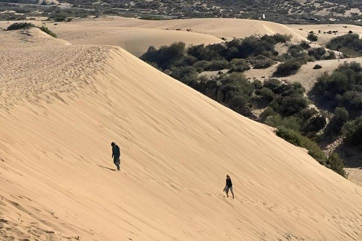 Sandboarding Adventure in Tamri Dunes Experience Near Agadir