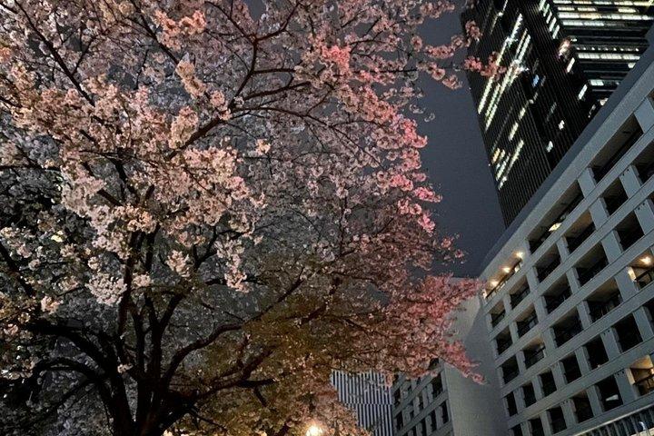 2-Hr Tokyo Night Bike Tour: Shibuya, City Lights & Tokyo Tower