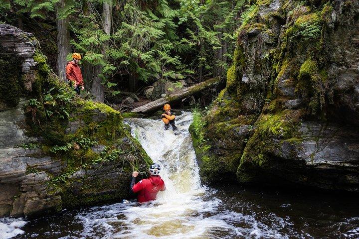 Adrenaline Canyoning Tour Kelowna - Falls, Rappelling & Adventure