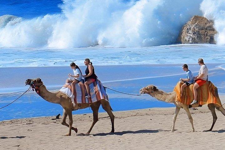 Private Cabo San Lucas ATV and Camel Ride with Unlimited Pics!