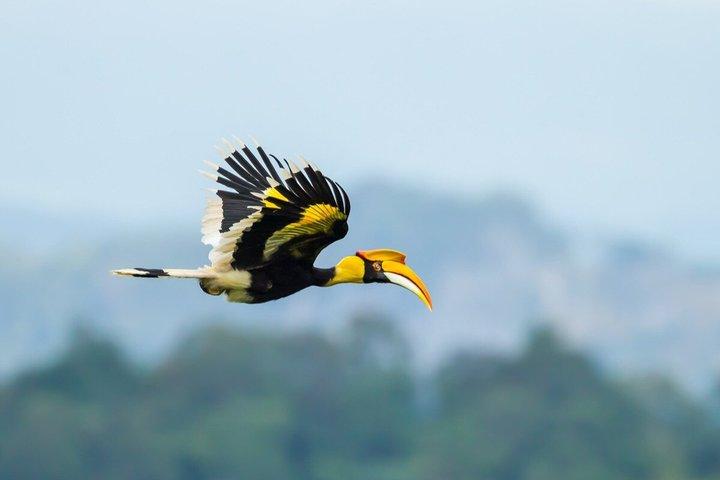 Khao Yai National Park 2 Day Tour from Bangkok