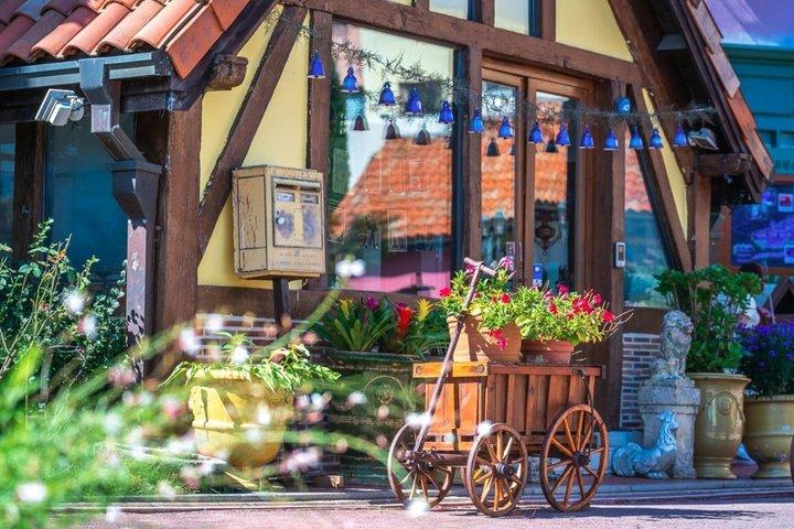 Nami Island and Petite France Day tour from Seoul