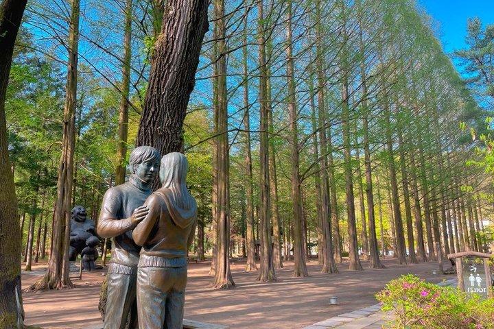 Nami Island and Petite France Day tour from Seoul