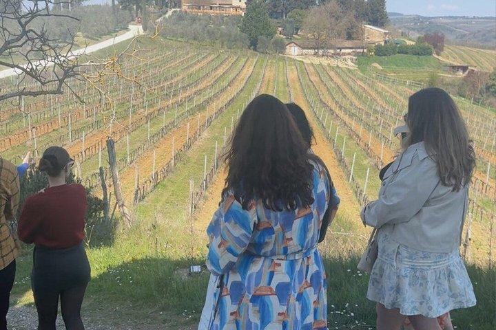 Siena: Chianti Wine Tour with Wine Tasting and Lunch