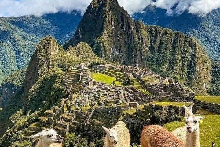 Machu Picchu Day Trip from Cusco