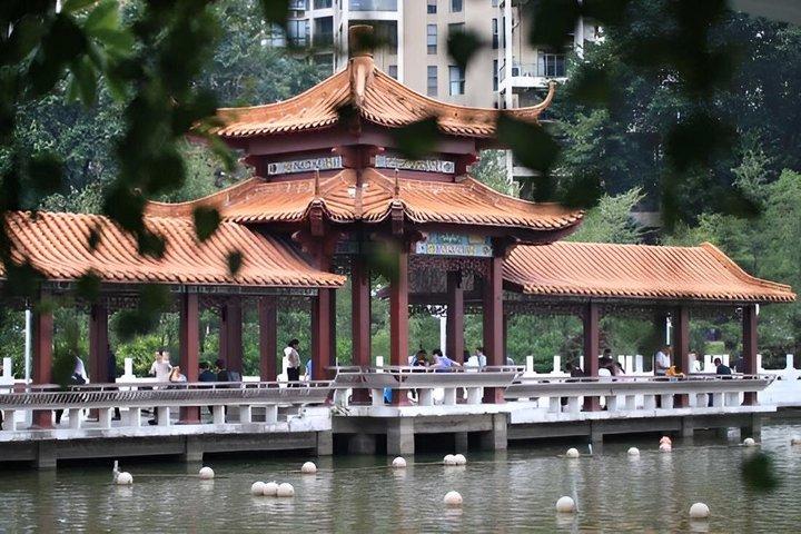 Hong Kong to Shenzhen Full-Day Tour | Train & Dim Sum with Lunch