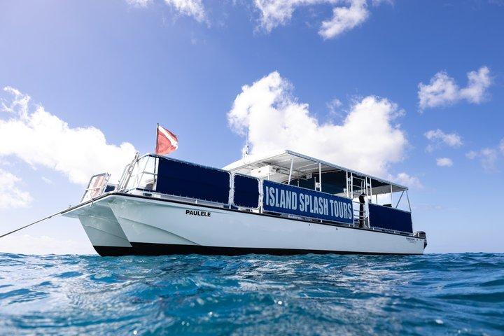 Waikiki Turtle Canyon Snorkel: Turtles Guaranteed