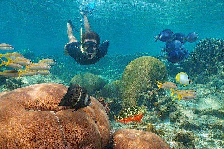 Punta Cana/Bavaro/Roman island Catalina the most unspoilt in the Caribbean
