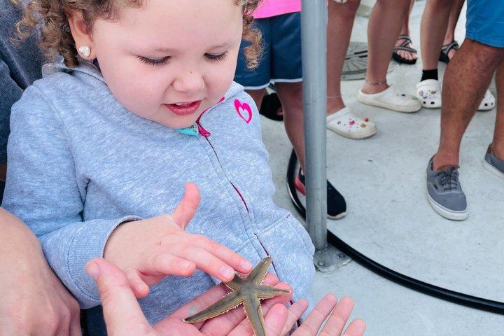 Eco Tour and Dolphin Watch