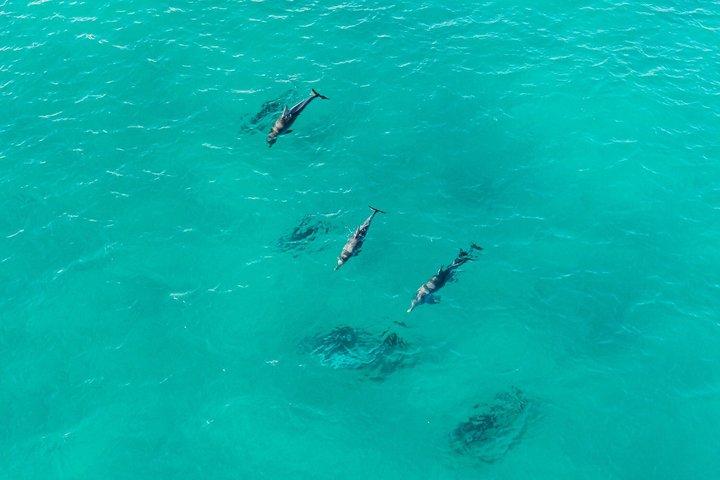 Straddie Sun Sand and Surf Tour Wildlife Culture and Beach Fun