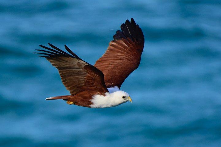 Straddie Sun Sand and Surf Tour Wildlife Culture and Beach Fun