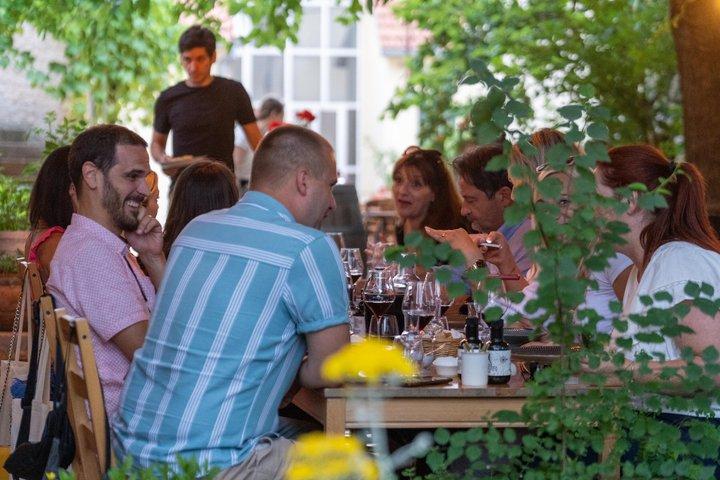 Krka and optional Wine Tasting Private Excursion from Split Area