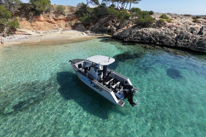 Charter Tour of Palma Bay: Snorkeling and Paddle Surfing