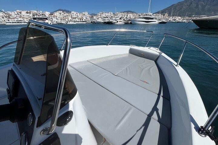 Boat rental in Marbella with dolphin watching