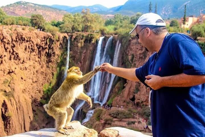 Ouzoud Waterfalls Day Trip from Marrakech: Boat Ride & Monkeys