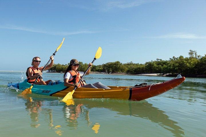 Kayaking Tour Through the Mangroves in Isla Holbox