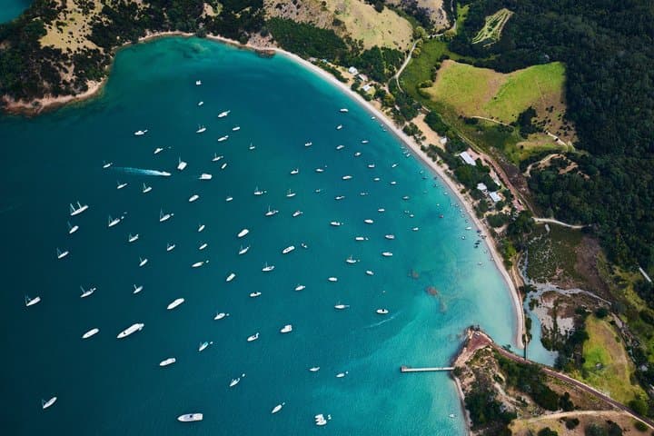 Rotoroa Island and Man O' War Vineyard Combo from Auckland