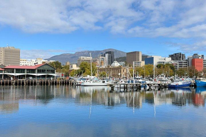 Mt Wellington Bonorong Wildlife Sanctuary and Wine Tasting Tour