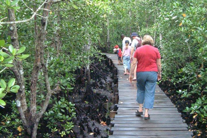 Zanzibar Jozani Forest Walking Tour