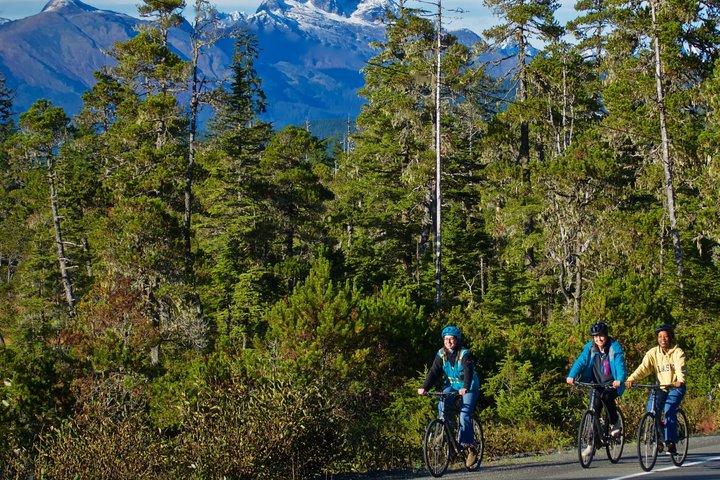 Sky to Sea Juneau Bike Adventure