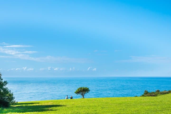 Sydney Secret Coastline Kiama Blowhole with Wollongong Wildlife