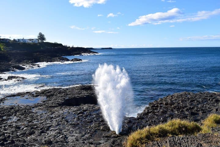Sydney Secret Coastline Kiama Blowhole with Wollongong Wildlife