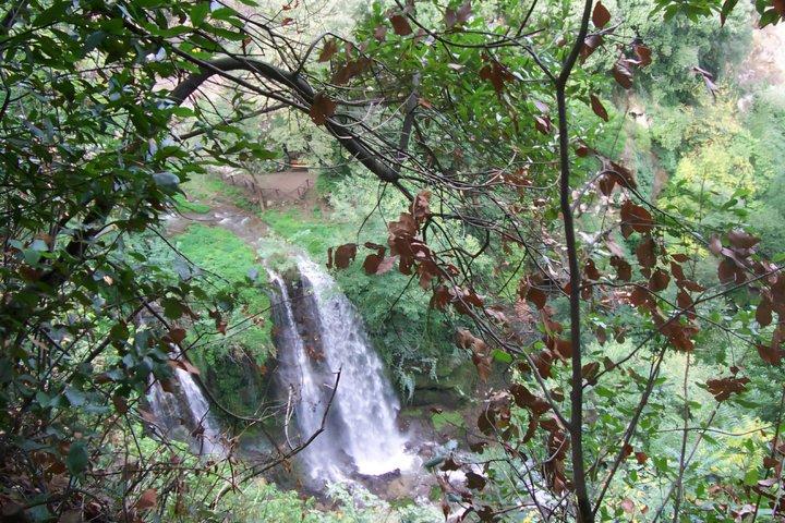 Private Day Trip to Villa d Este and Villa Gregoriana from Rome