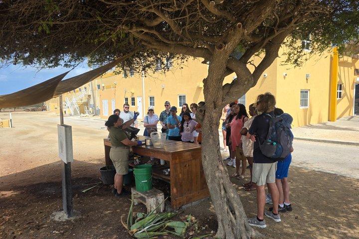 Sunday Open Bus Tours