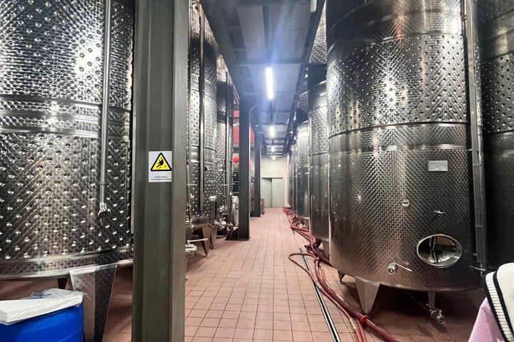 Pireaus Port&Athens pickup Private Wine Tasting Winery