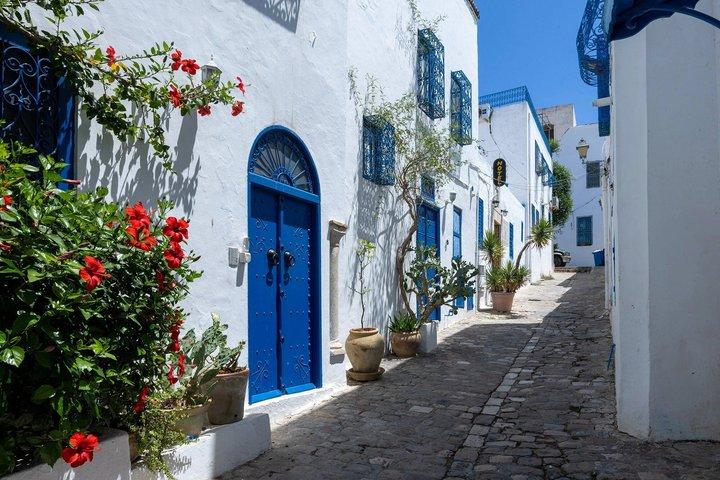 Excursion VIP Tunis Medina, Bardo Carthage & Sidi BouSaid