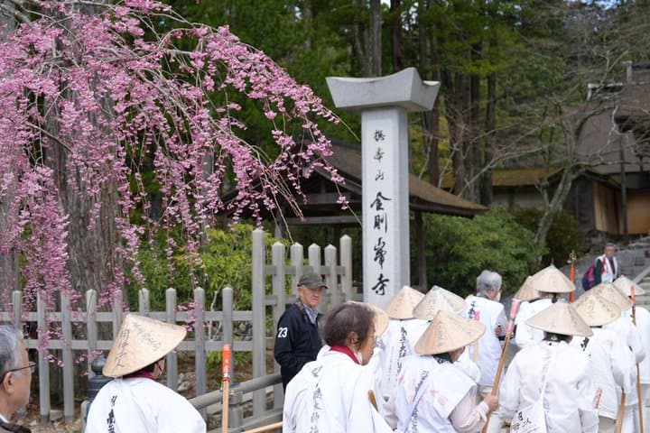 Koyasan Spiritual Day Trip: Goma Fire Ritual & Okunoin Forest