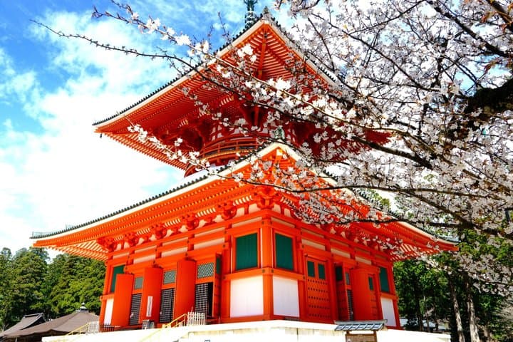 Koyasan Spiritual Day Trip: Goma Fire Ritual & Okunoin Forest