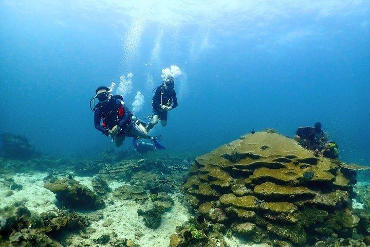 Kota Kinabalu Kota Belud Diving Kayak or Fireflies Tour
