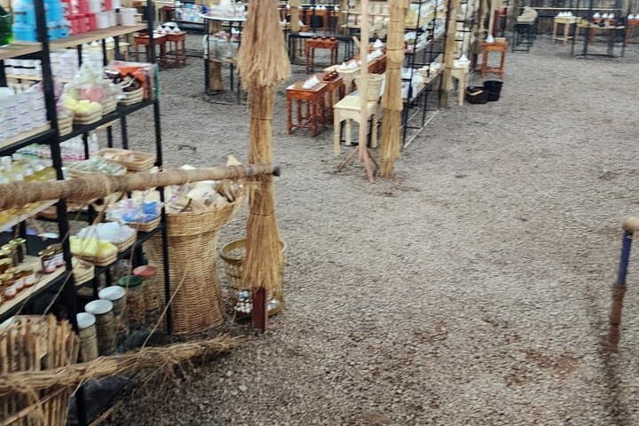 Marrakech: Ourika, Atlas, Waterfalls, Local Guide and Lunch