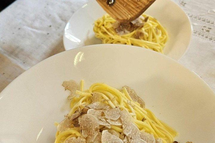 Truffle Hunting experience with Local Guide and Lunch