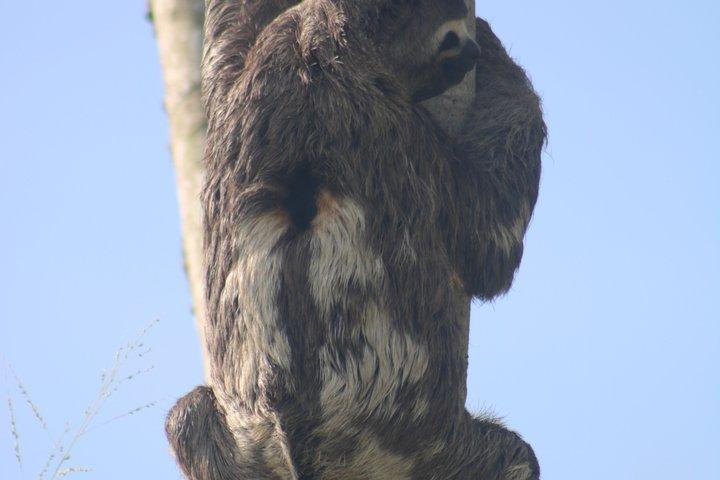 boat expedition along the Tambopata River and wild animals