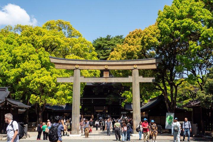 Tokyo: Meiji Shrine & Shinto Culture Walking Tour