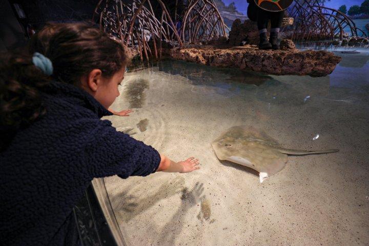 New England Aquarium Admission Ticket in Boston