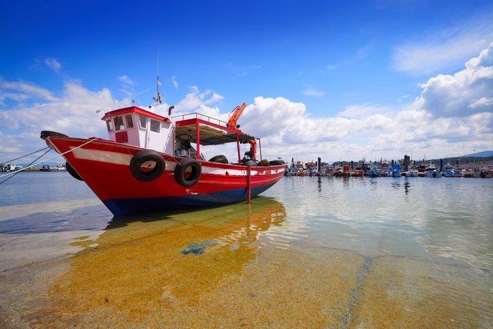 Santiago and A Coruña : Rias Baixas with Boat Tour and Tasting